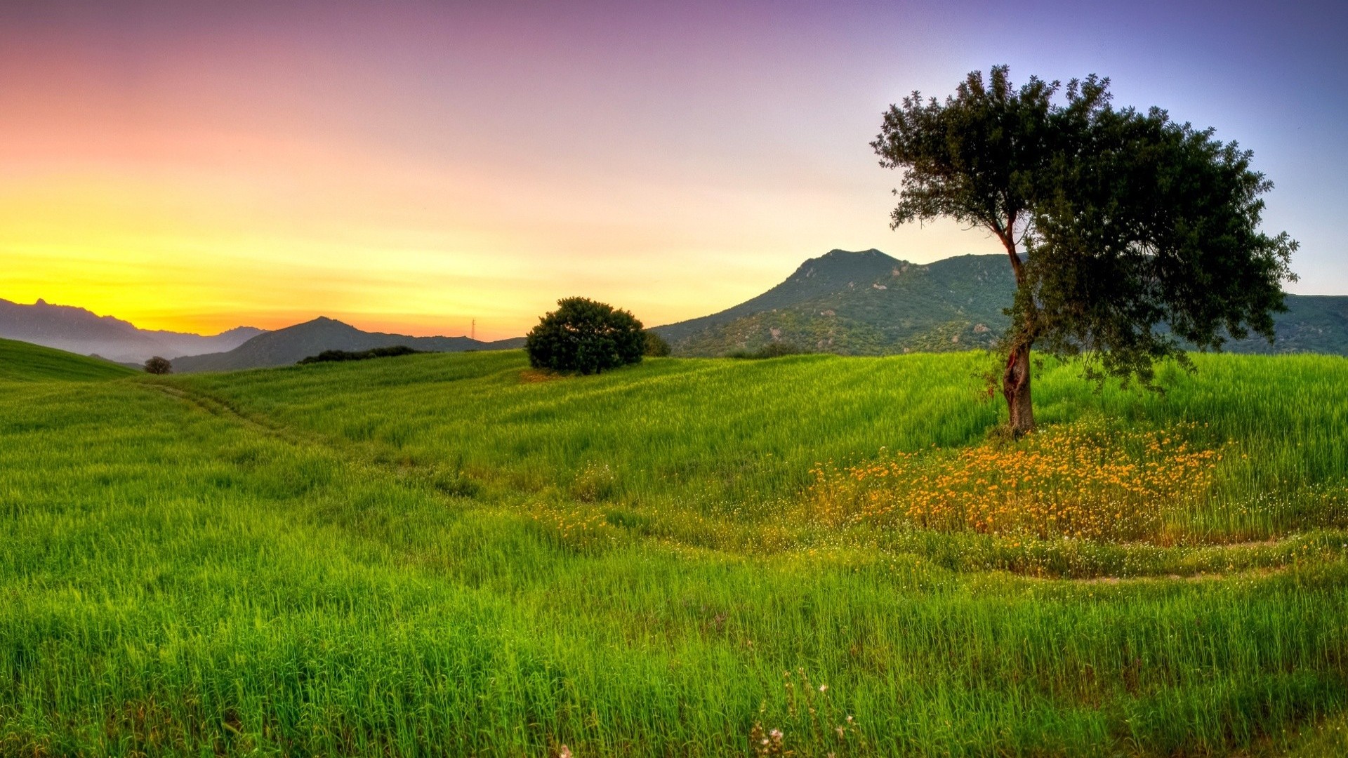 Scenery: Sardinia Italy Nature Scenery Landscape Tree Mountain ...