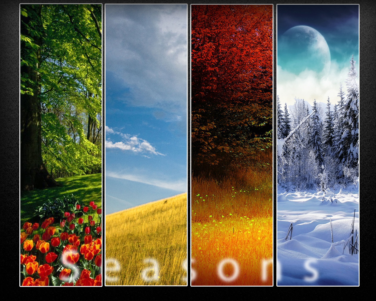 Seasons Wallpaper by dranton17 on DeviantArt