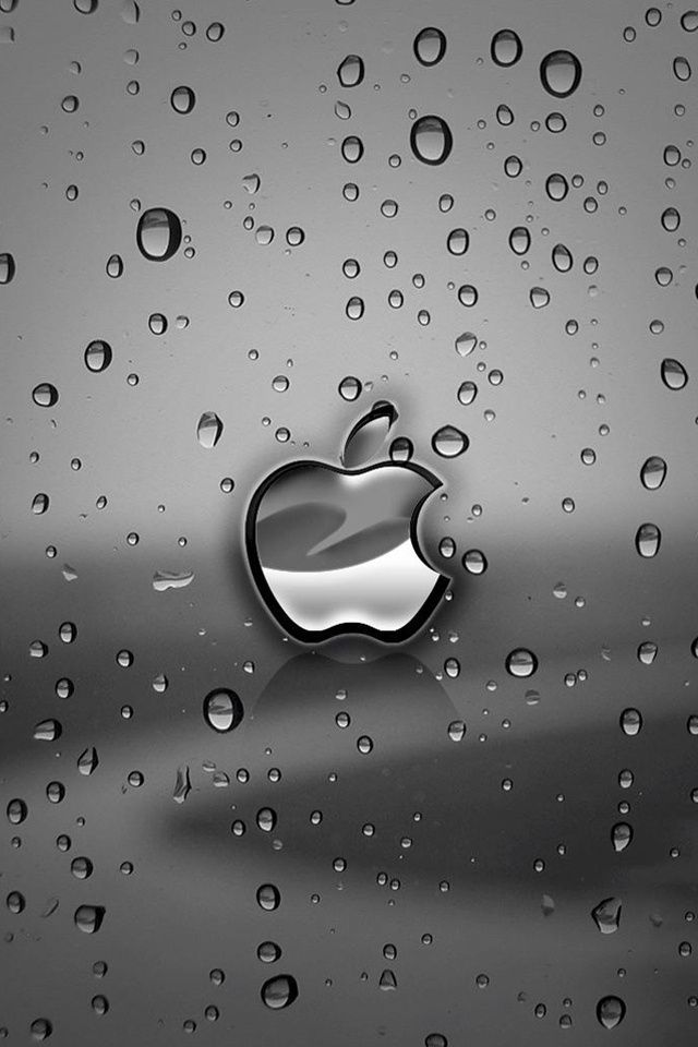 Apple rain iphone 4 wallpaper and iphone 4s wallpaper iPhone 4