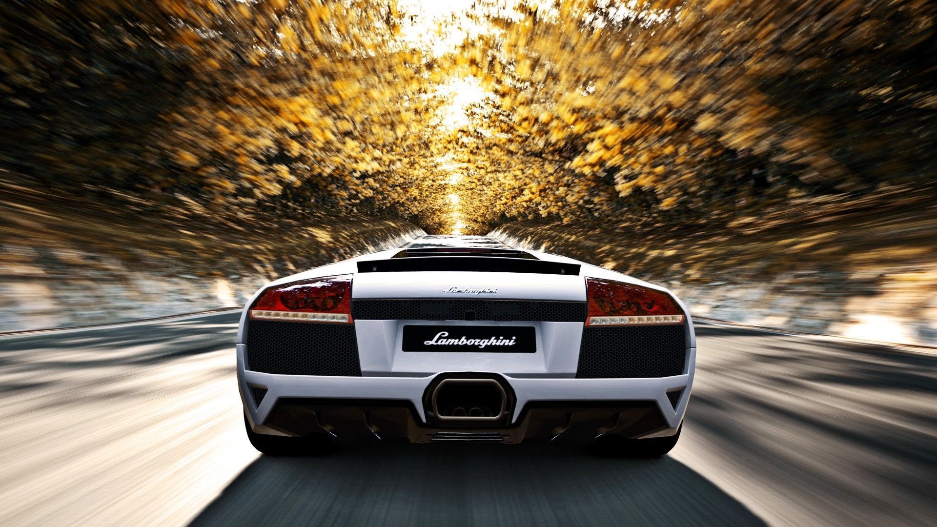 15 Best White Lamborghini Car HD Wallpapers - Birthday Wishes, 3D ...