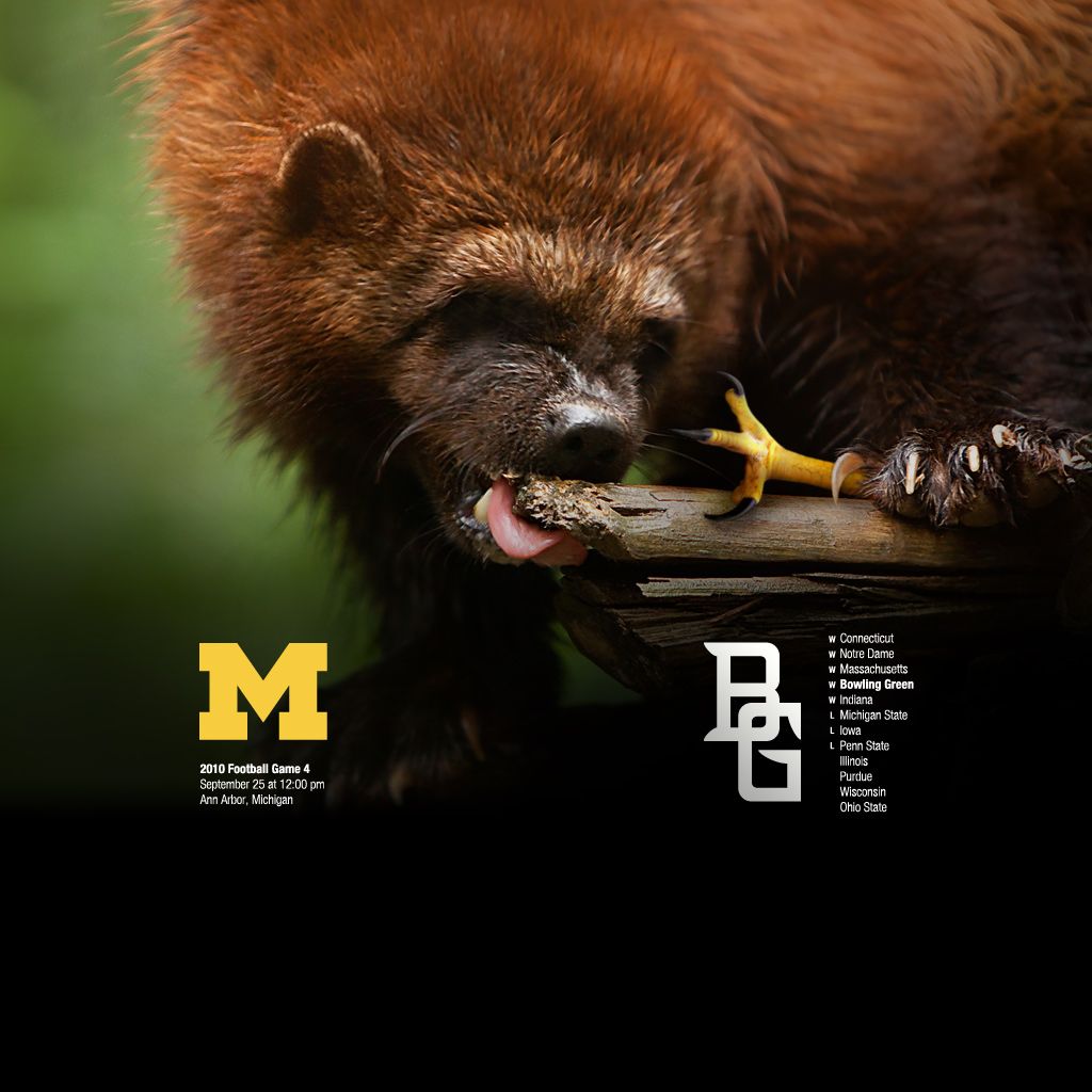 Wolverine vs. Falcon – 2010 Game 4 – Michigan Football Fan Art