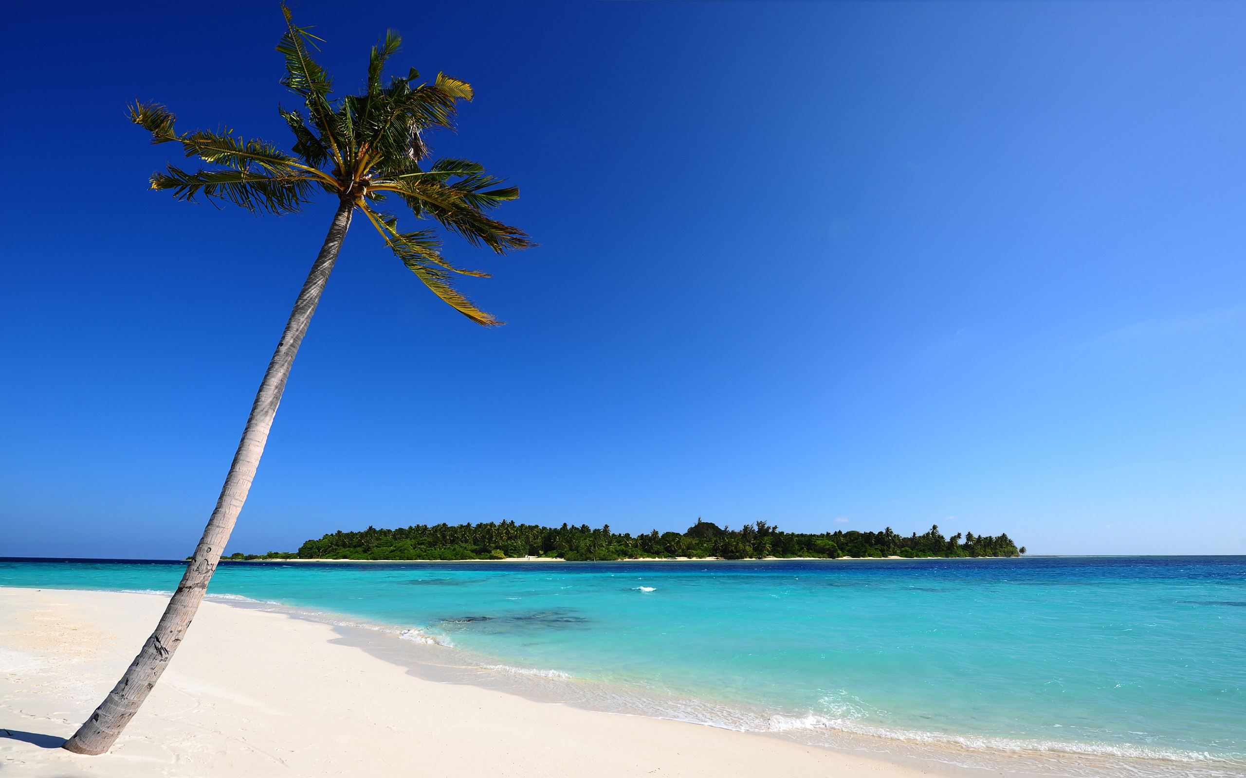 Refresh Your PC Screen Using Beach Wallpaper: Beach by Free ...