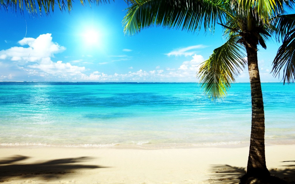 Beaches Wallpapers Free Group (85+)
