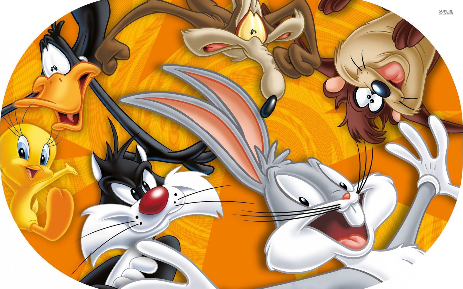 Looney Tunes wallpaper - Cartoon wallpapers - #41497