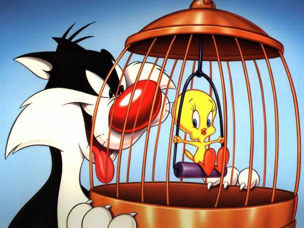 Sylvester & Tweety - Looney Tunes Wallpaper (1990597) - Fanpop