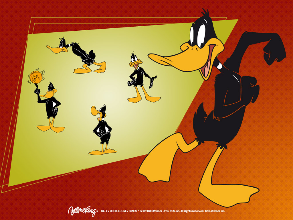 Daffy Duck Wallpaper - Looney Tunes Wallpaper (5226651) - Fanpop