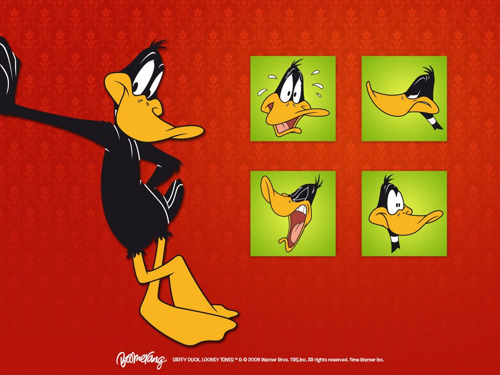 Daffy Duck Wallpaper - Looney Tunes Wallpaper (5226646) - Fanpop