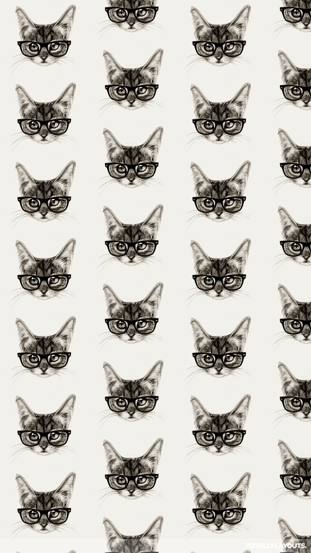 Tabby Hipster Cat With Glasses iPhone Wallpaper - Hipster Backgrounds