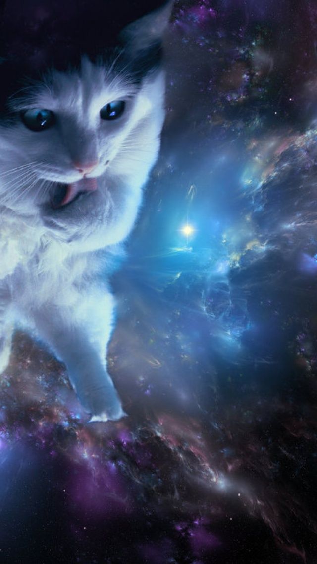 Cat In Space iPhone 5 Wallpaper ID 23458