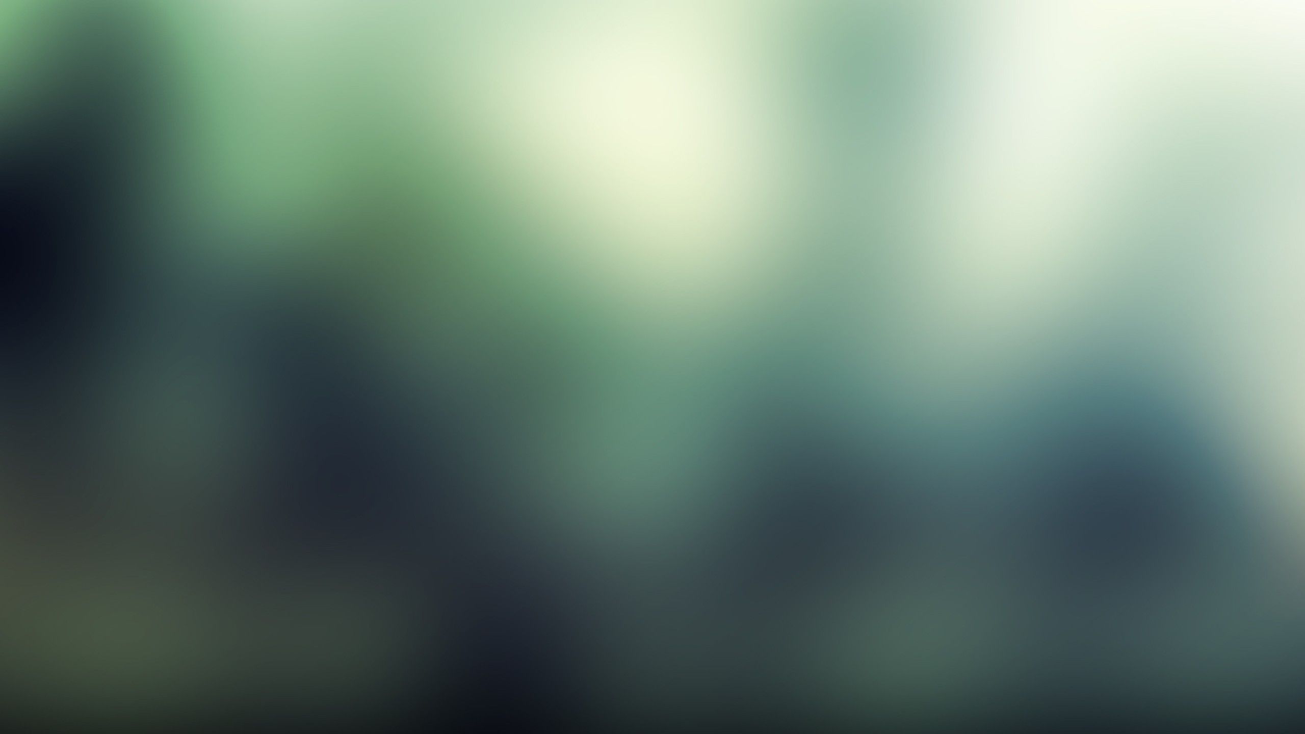 5000 Free Blur  Background Images  Pixabay