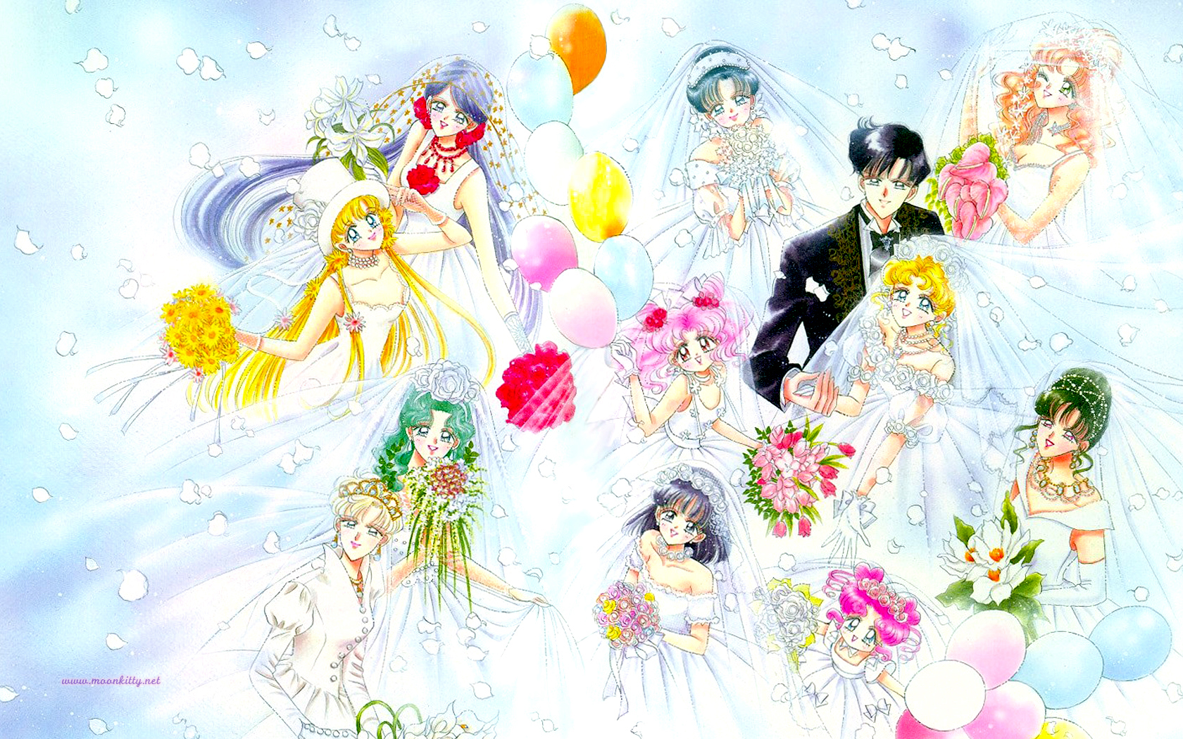 Moonkitty.net Sailor Moon Wallpapers Widescreen
