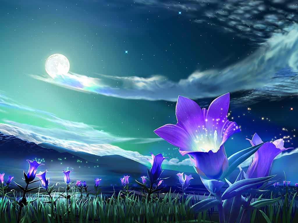 Download Flower Under Night Sky Wallpaper Full HD Backgrounds