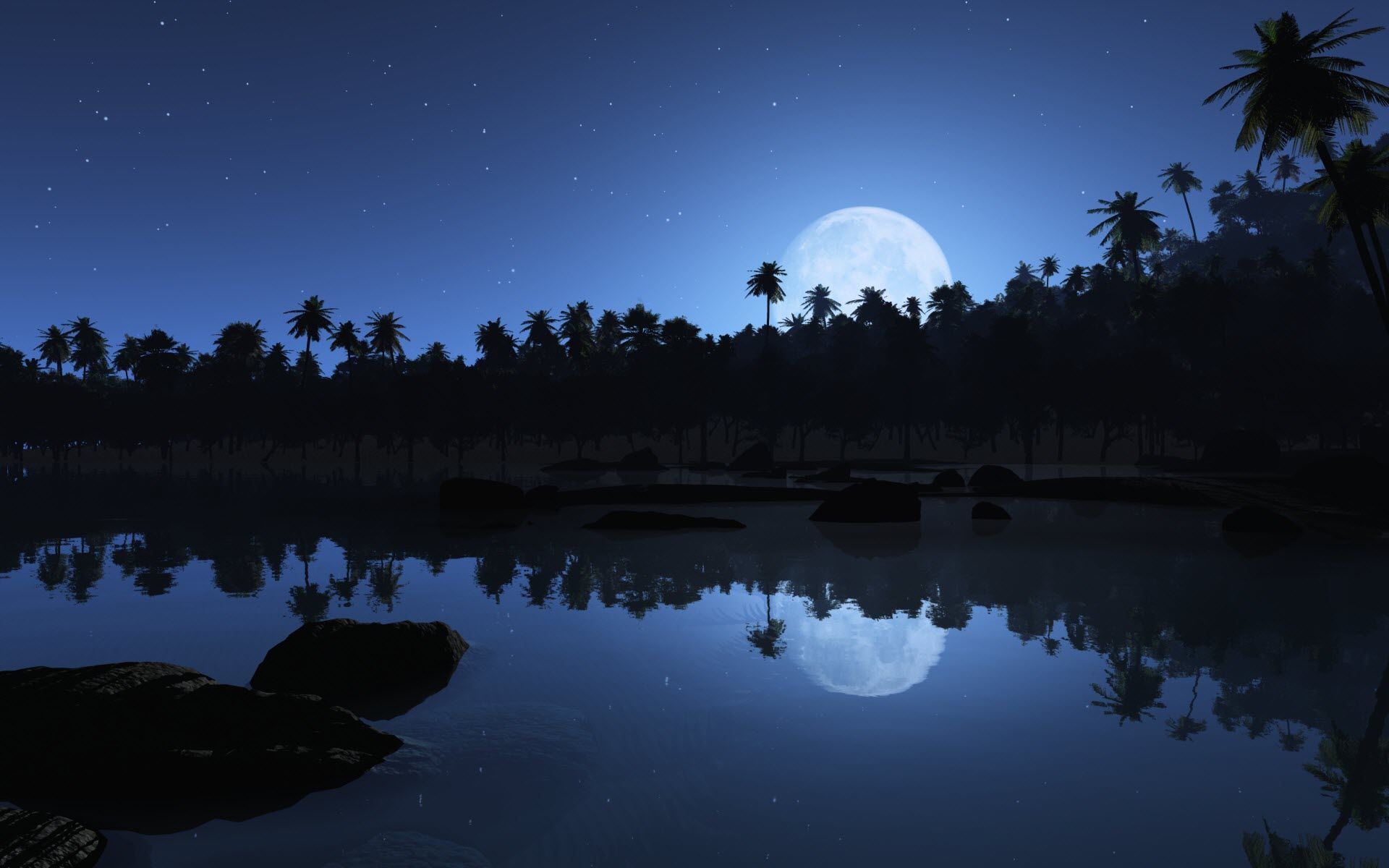 snow night pictures | Forest moon night snow winter f wallpaper ...