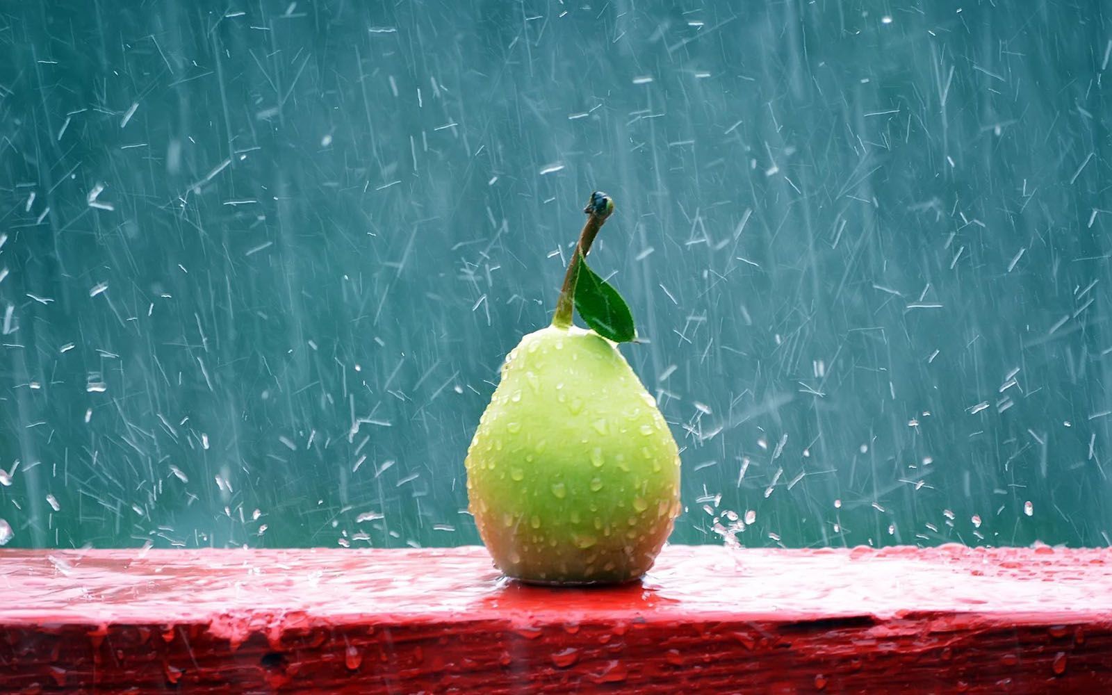 Pear-Rain-Photography_1.jpg