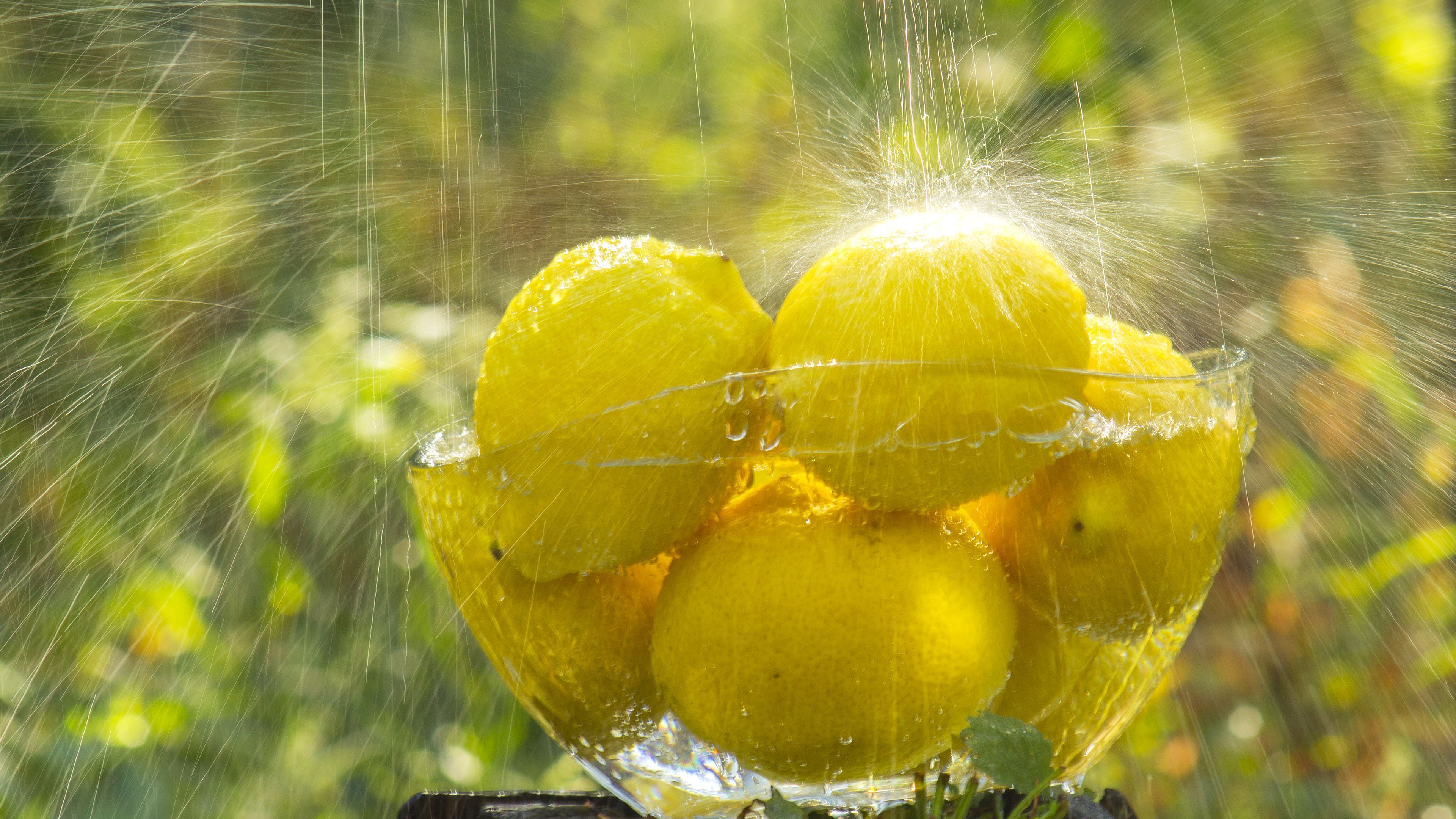Raining on the lemons desktop wallpaper 28864