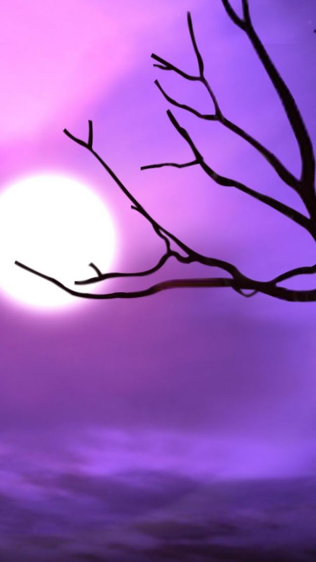 Purple-iPhone-wallpaper-for-iPhone-5-5c-5s-640x1136-_Purple_sky.jpg