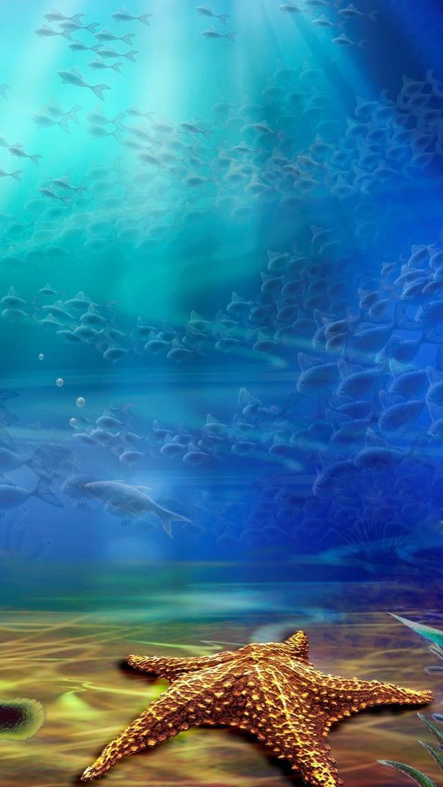 Starfish in the Ocean iPhone 5 Wallpaper (640x1136)