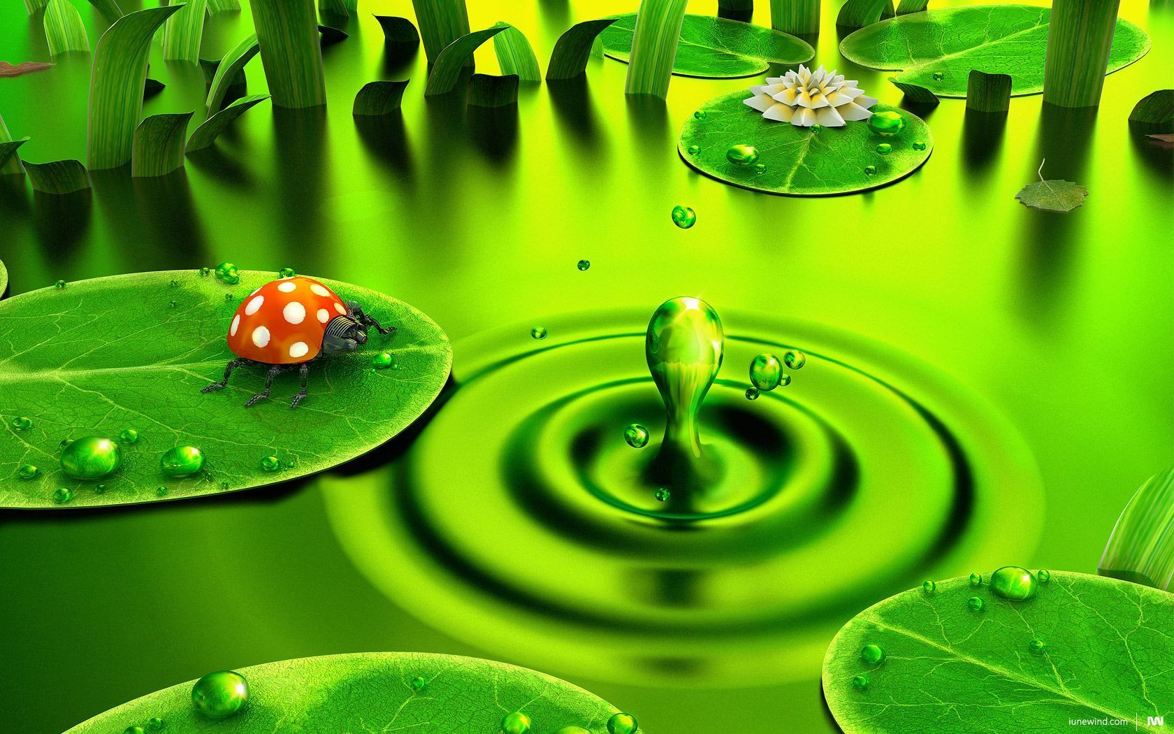 Best Green Wallpapers Group (77+)
