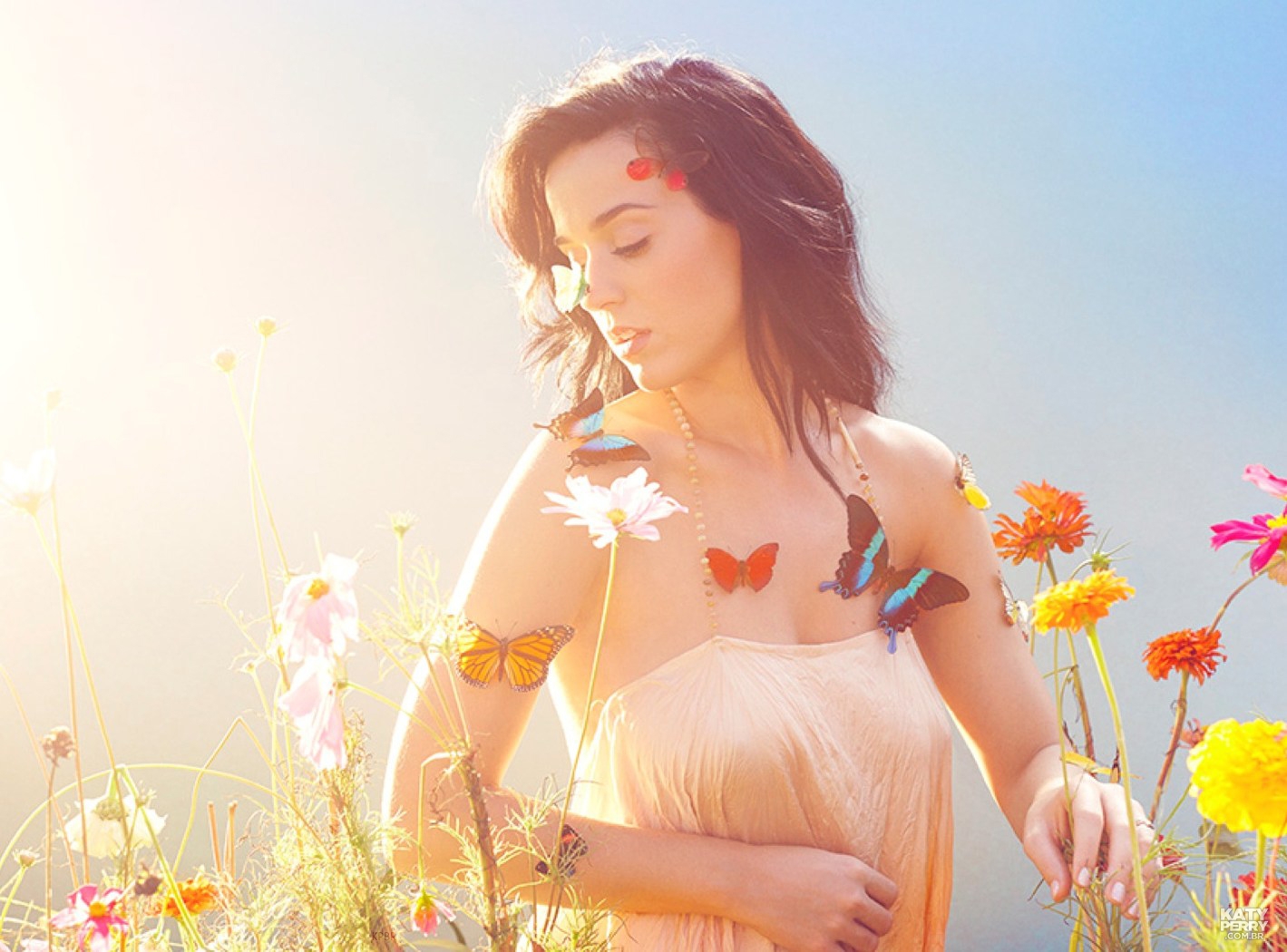 Poll: Best Katy Perry album photoshoot? [Archive] - ATRL