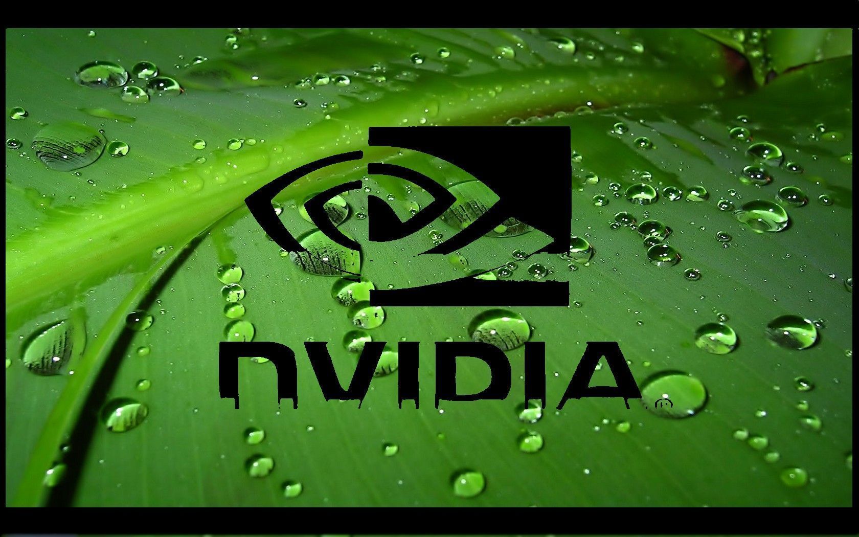 nvidia-hd « Logos of brands