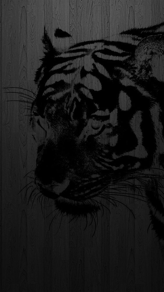iPhone 5 wallpaper tiger, the eye of the tiger http://iphonetokok ...