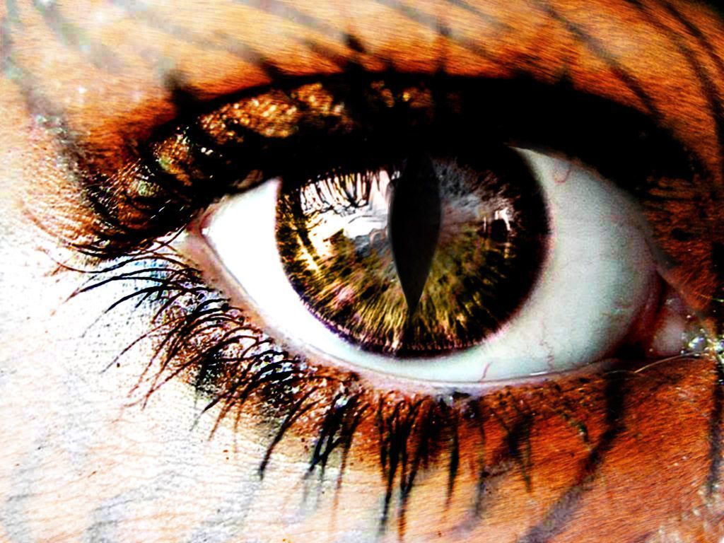 Human Tiger Eye by WhiteFireBird on DeviantArt