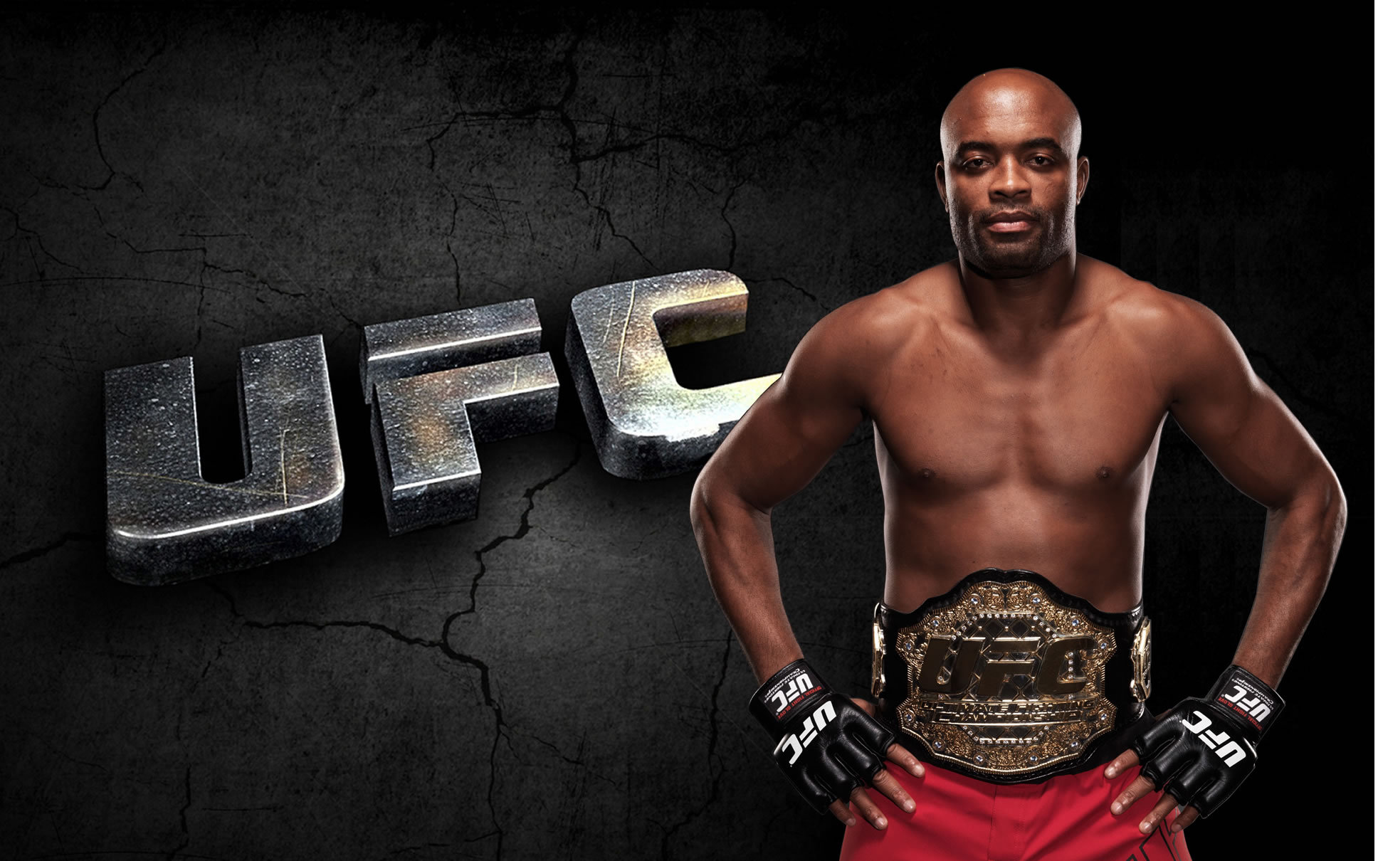 Champion Anderson Silva. spider wallpapers and images - wallpapers ...