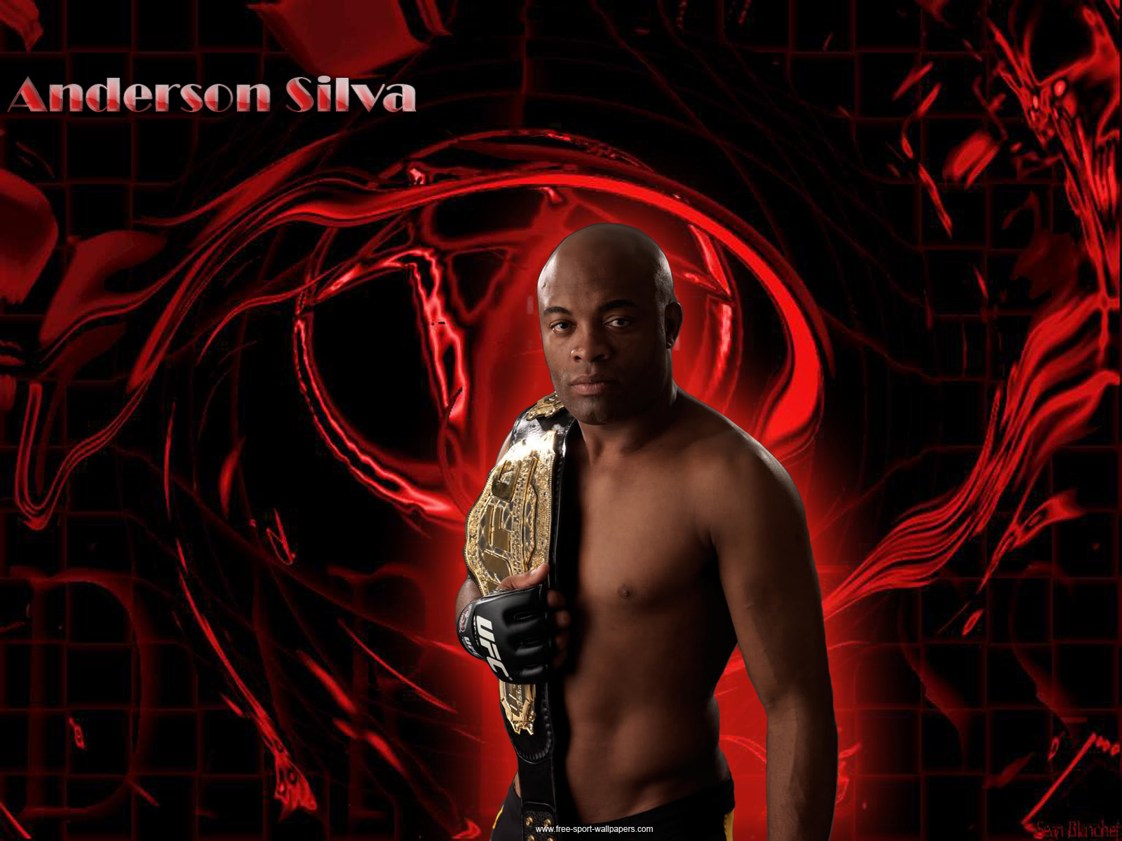 UFC champion Anderson Silva. spider wallpapers and images ...