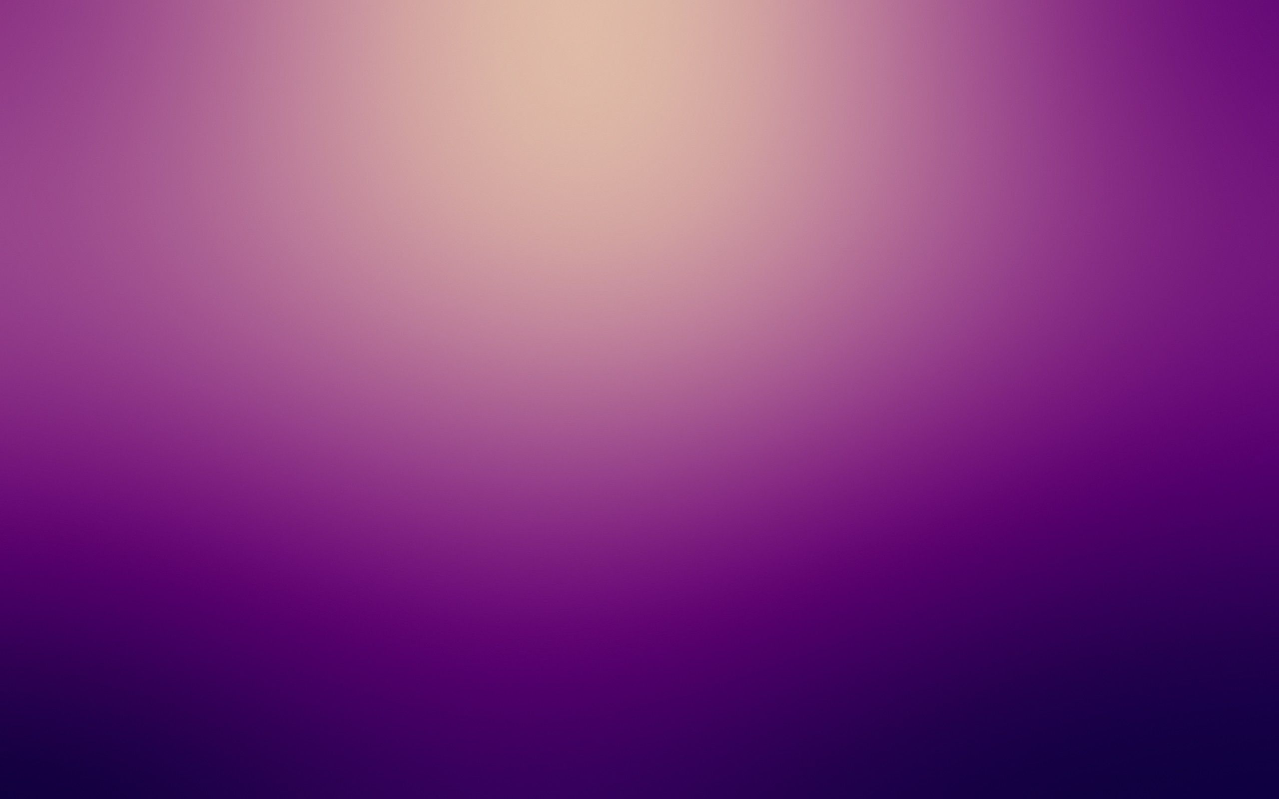Purple gaussian blur backgrounds wallpaper 2560x1600 21636