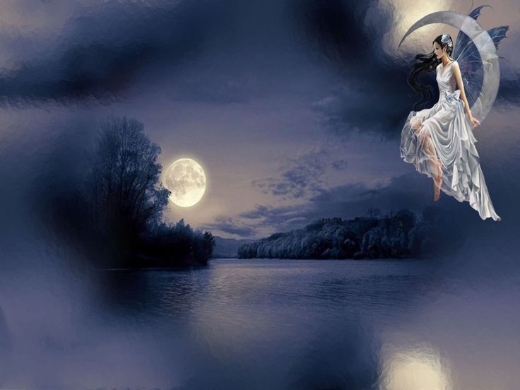 Moonlight Fairy | Download Fairy wallpaper, 'moon fairy wallpaper ...