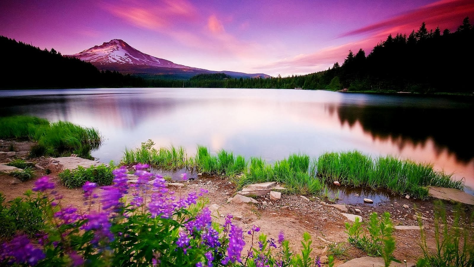 Full HD Size Nature Wallpapers Free Downloads Full HD High Res ...