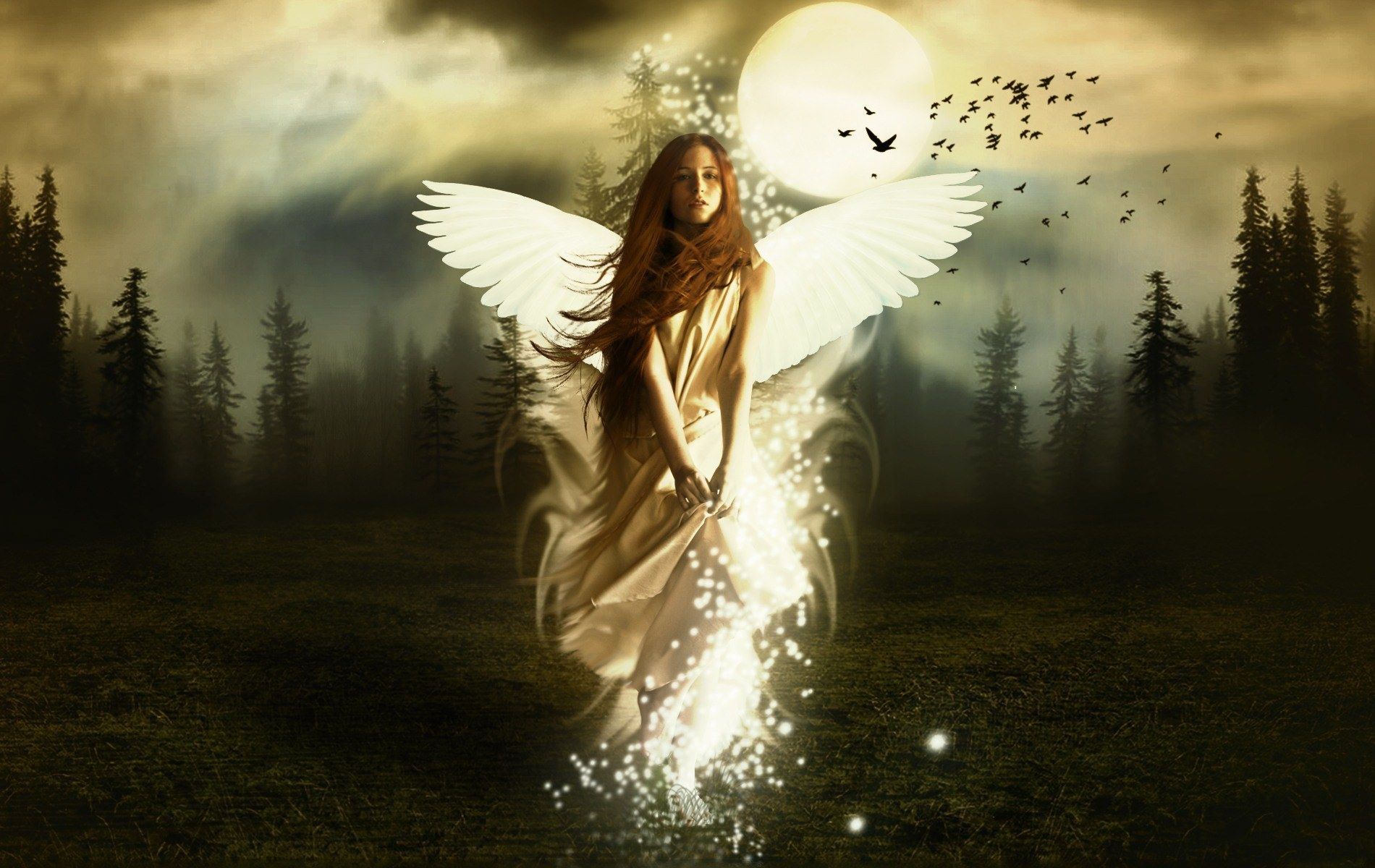 Gallery for - angels wallpaper for pc