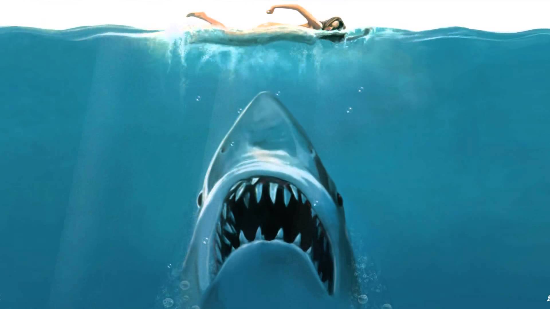 Shark Attack Animated Wallpaper http://www.desktopanimated.com ...