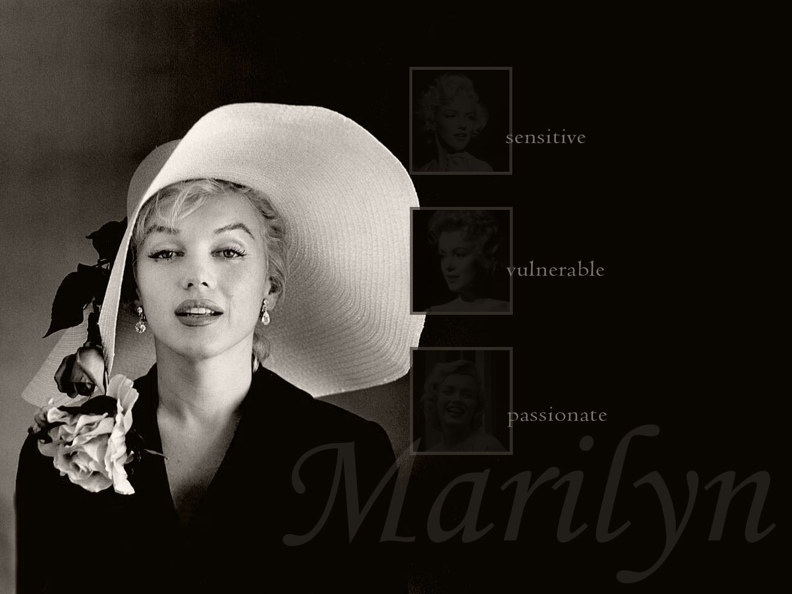 25 Majestic Marilyn Monroe Wallpaper Collection | CreativeFan