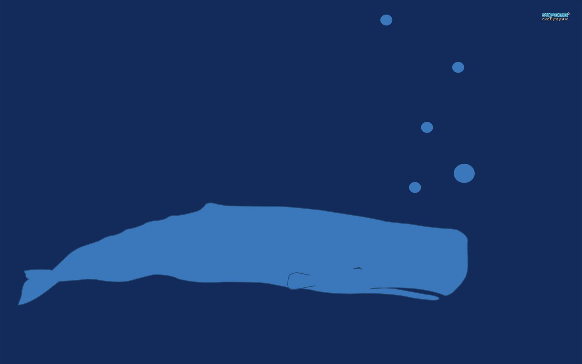 Blue whale wallpaper - Minimalistic wallpapers - #15897