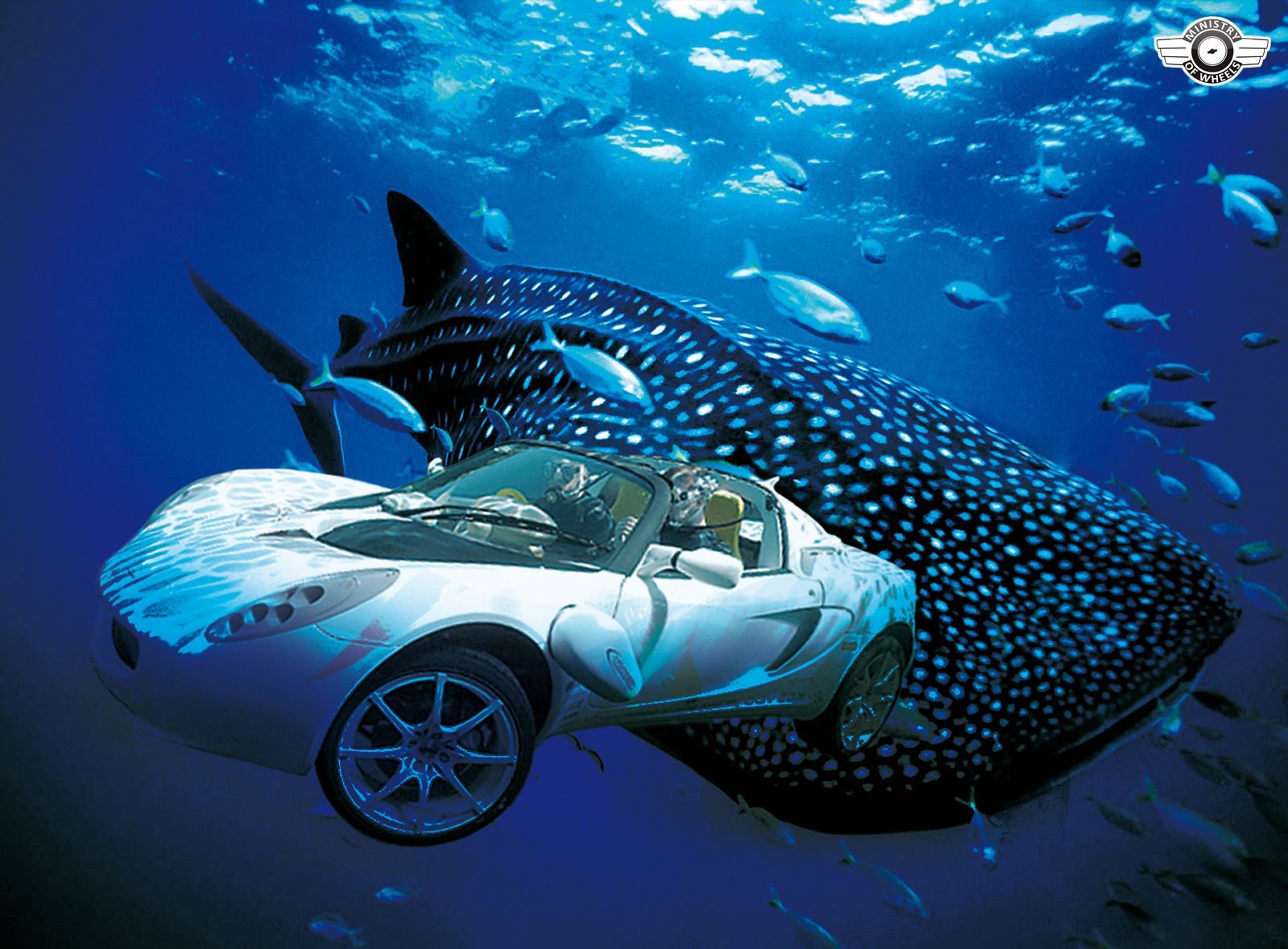 Download Blue Whale Shark Rinspeed Scuba Squba Car Picture ...