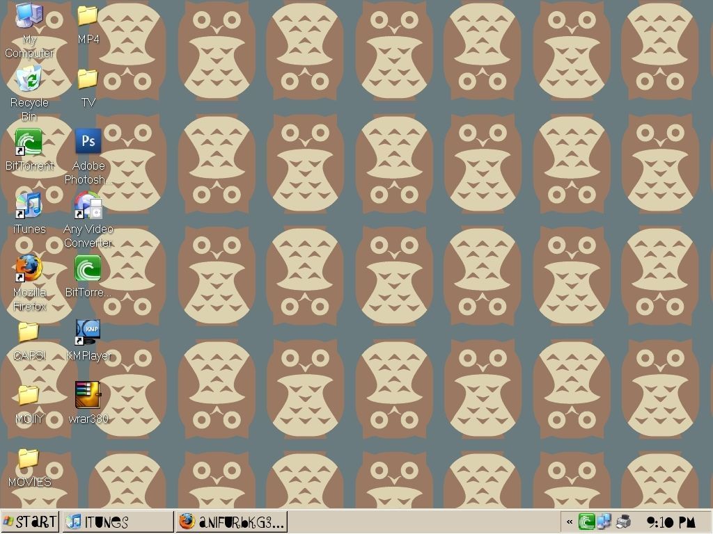 my new desktop background... OWLS! - Ninja Pirates Photo (8127060 ...
