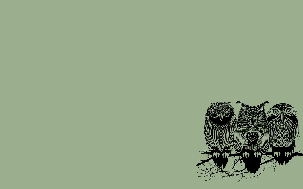 Owl Wallpapers For Computer