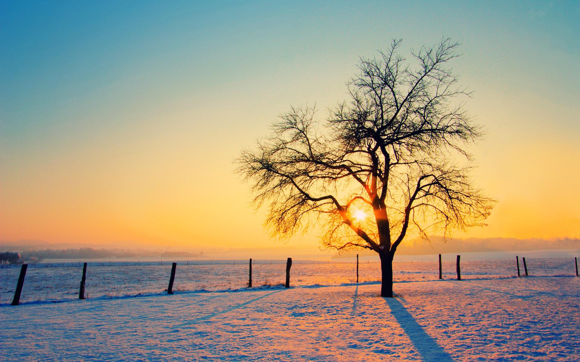 Most Downloaded Winter Morning Wallpapers Full Hd Wallpaper Search ...