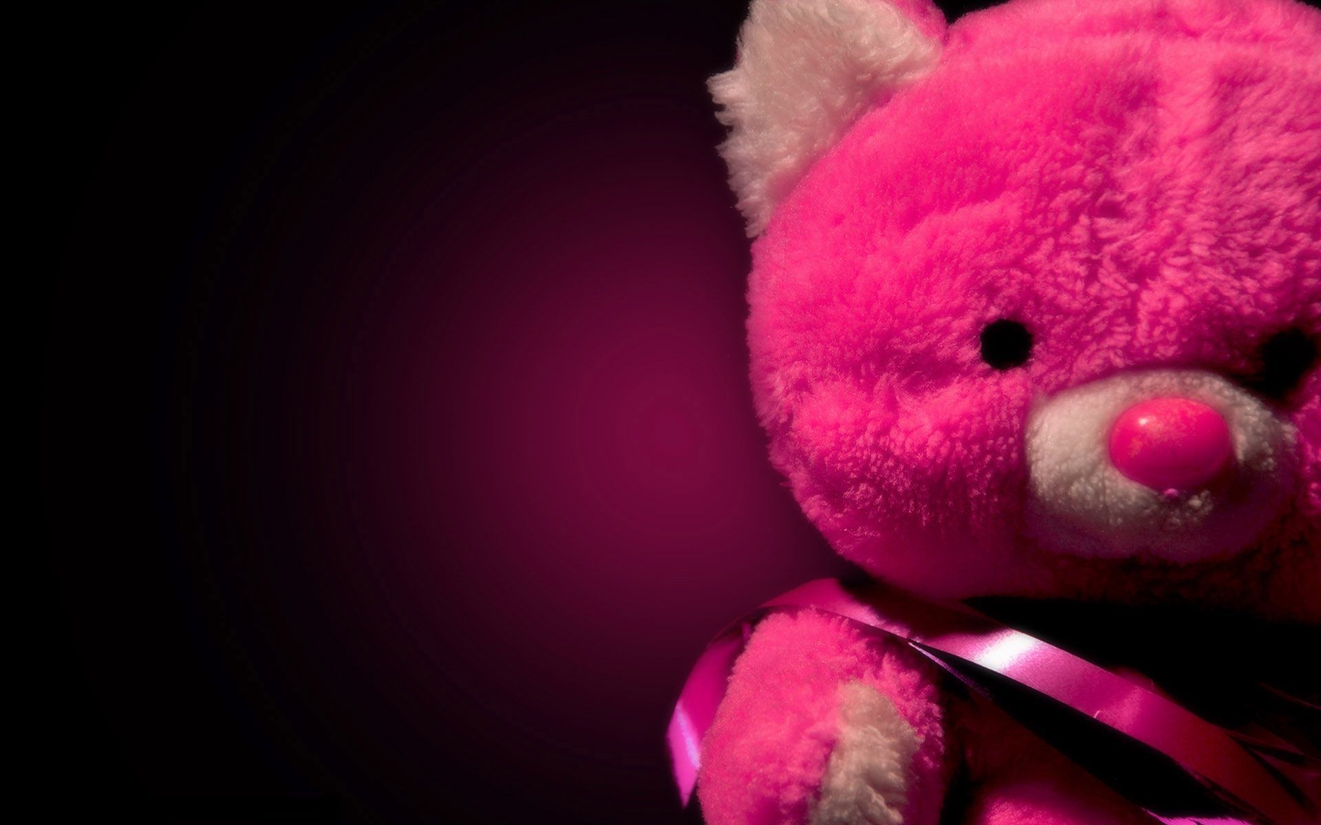 Download Teddy Bear Pink Desktop Wallpaper Free By udhao.net