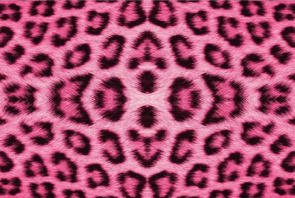 Pink Leopard Print Wallpaper - Desktop Backgrounds