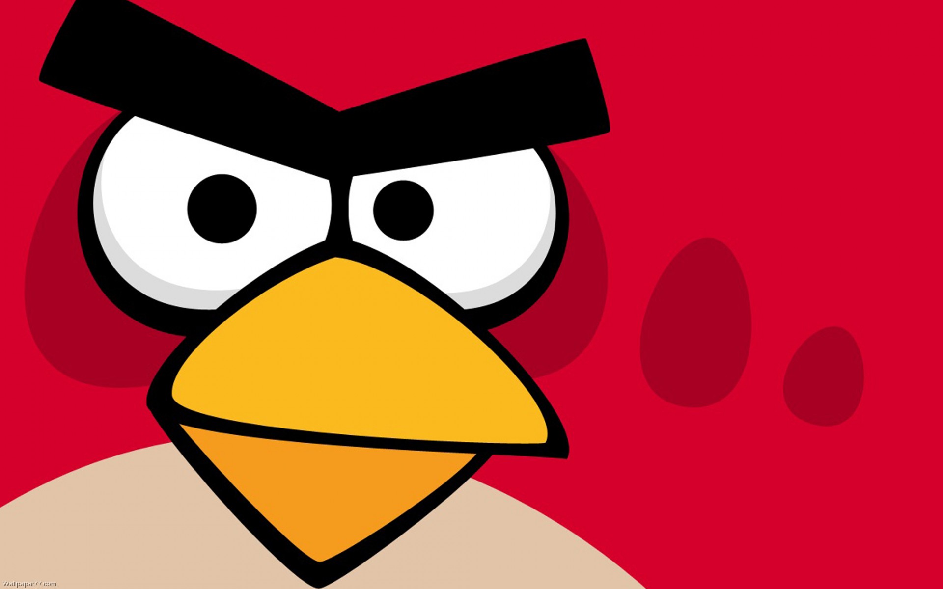 Angry Birds, 1920x1200 pixels : Wallpapers tagged angry birds ...
