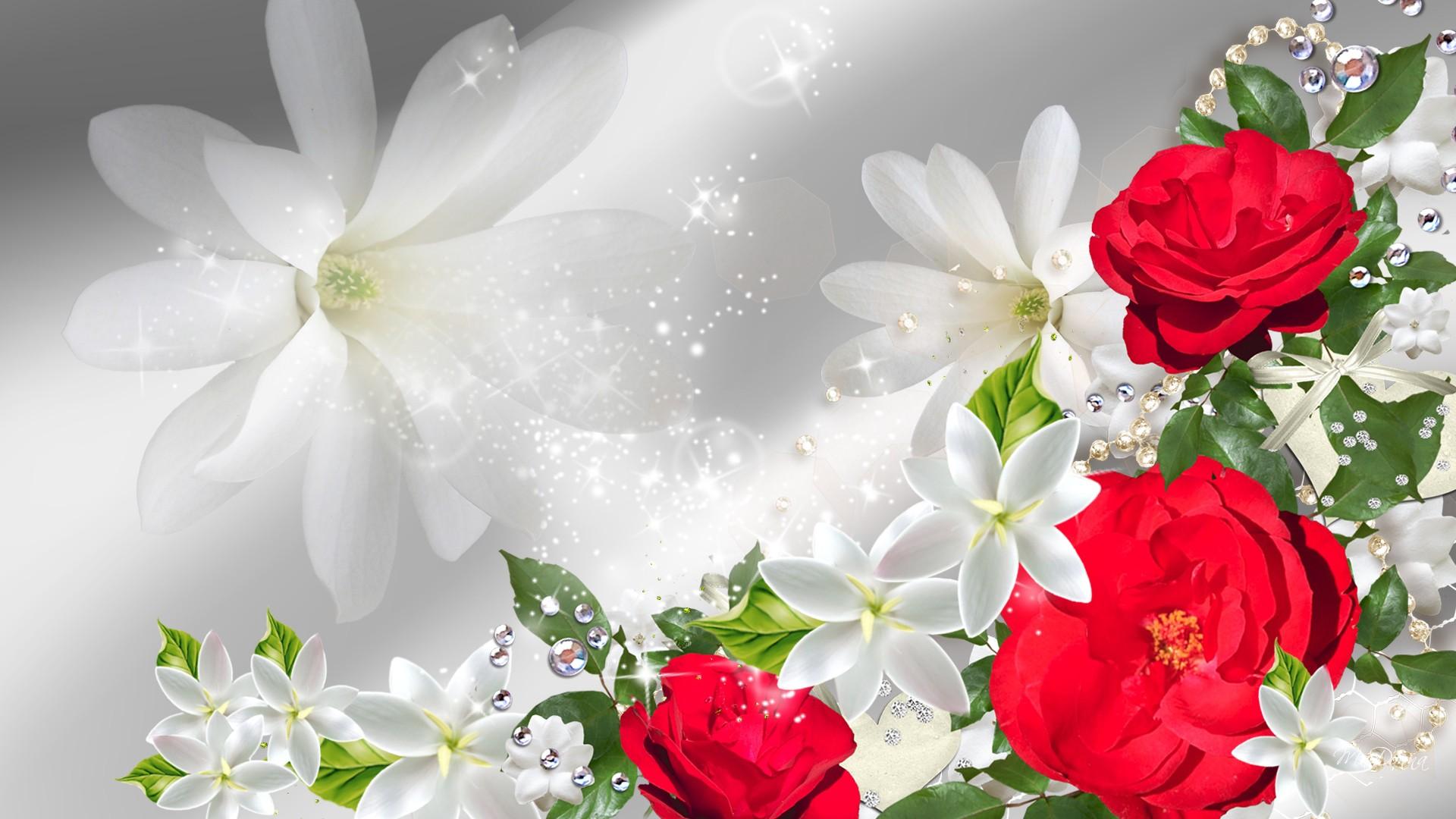 Red Roses On Display >> HD Wallpaper, get it now!