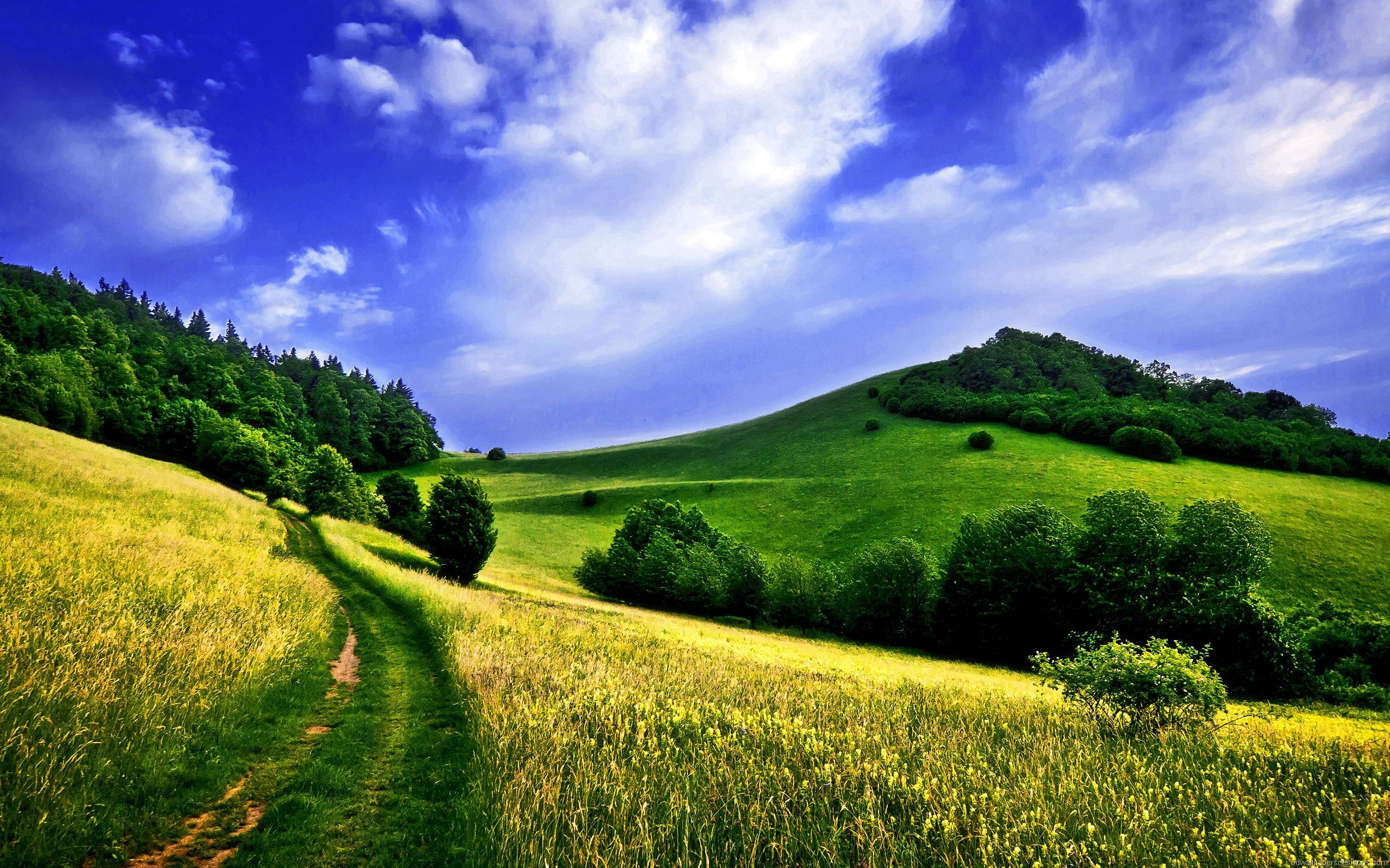 IMAGE | nature backgrounds for computer hd