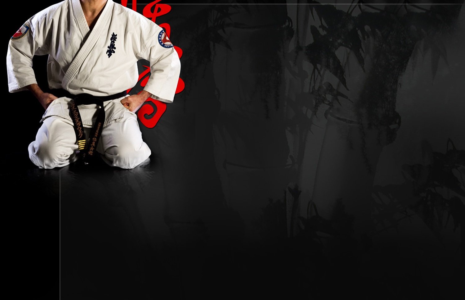 Kyokoshin karate wallpaper | 1500x966 | 282652 | WallpaperUP