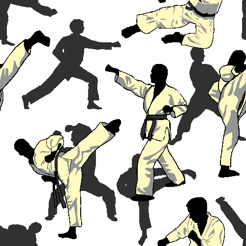 Karate Wallpapers Group (72+)