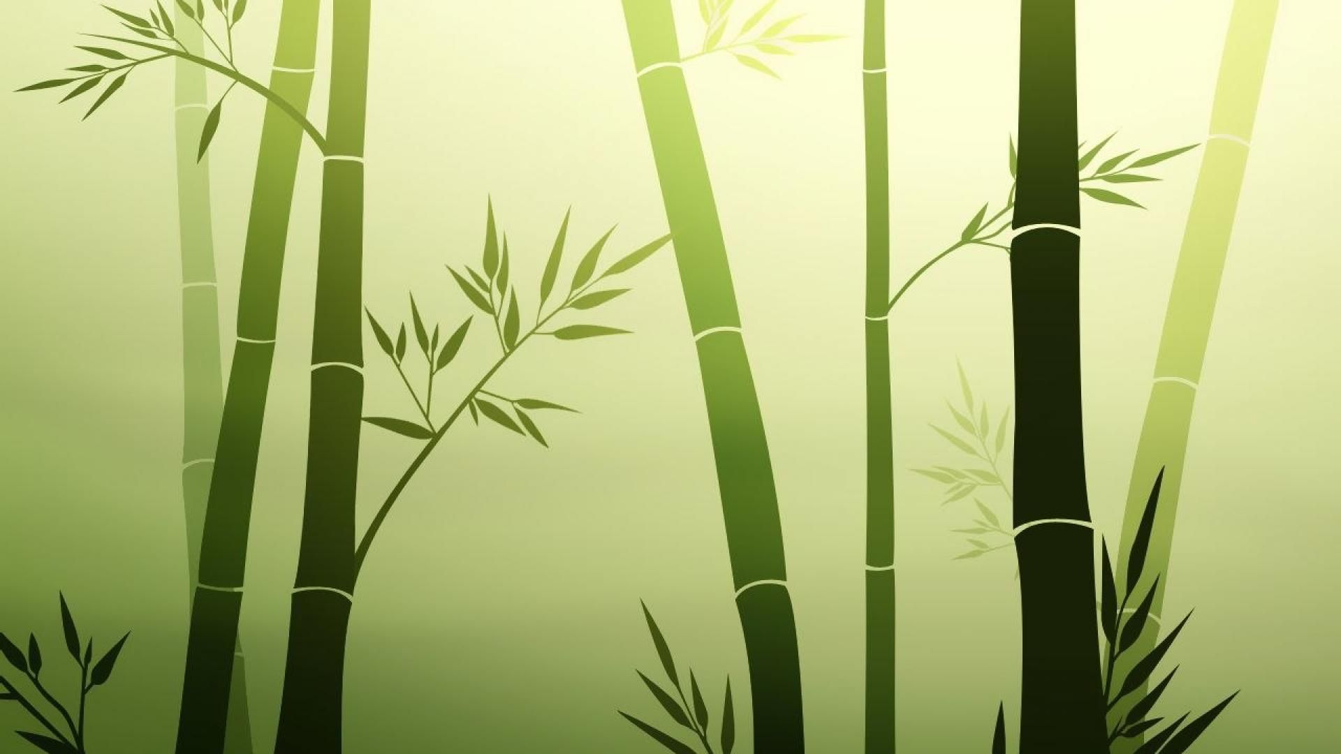 bamboo HD Wallpaper wallpaper - (#10328) - HQ Desktop Wallpapers ...