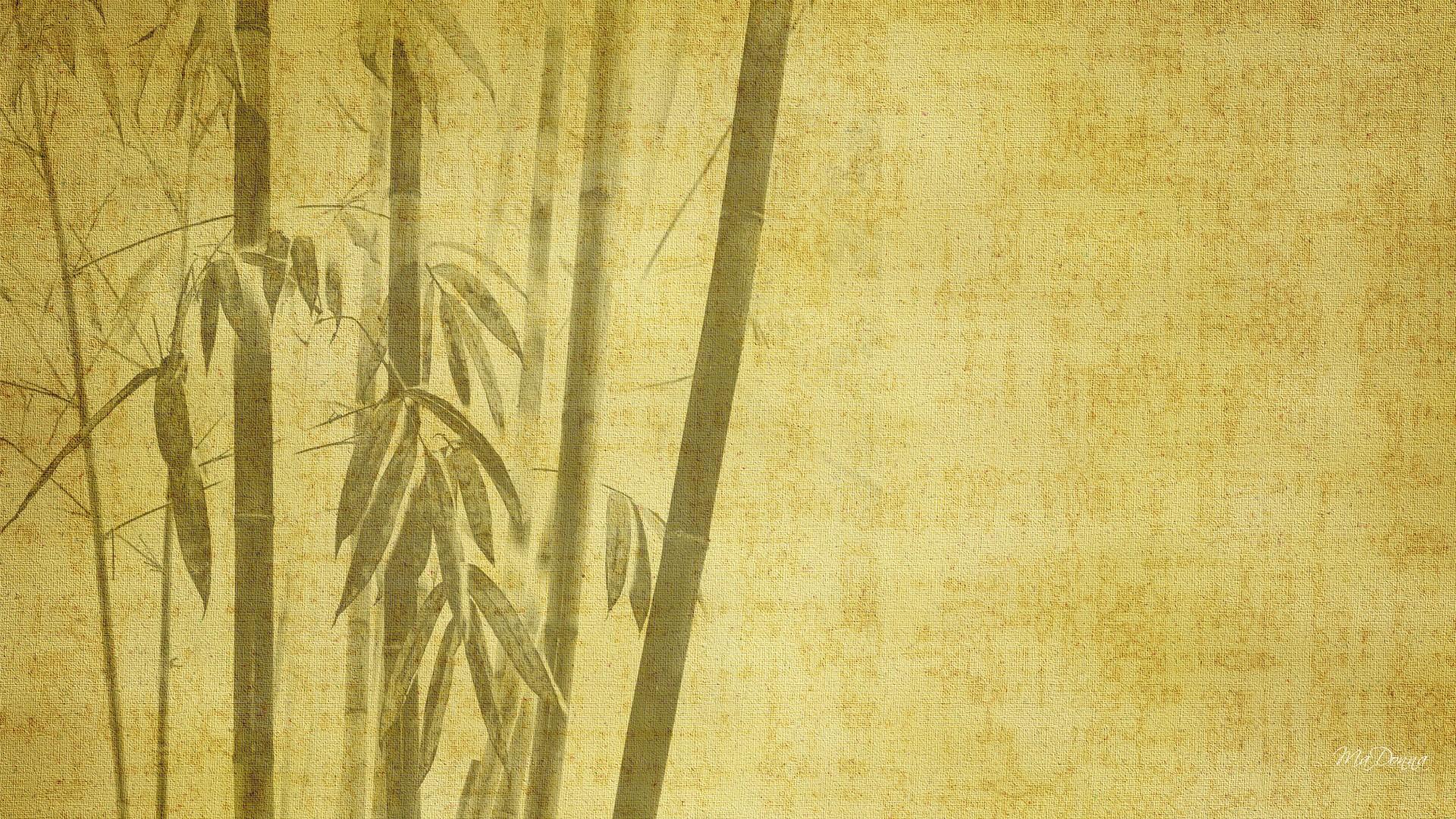 Bamboo Wallpapers Backgrounds with quality HD