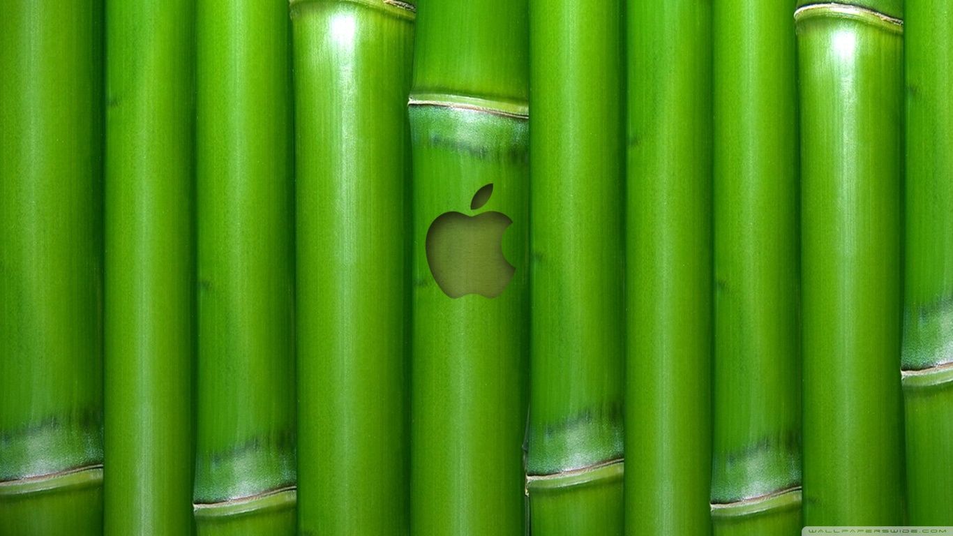 Apple Wallpaper Bamboo HD desktop wallpaper Widescreen High resolution