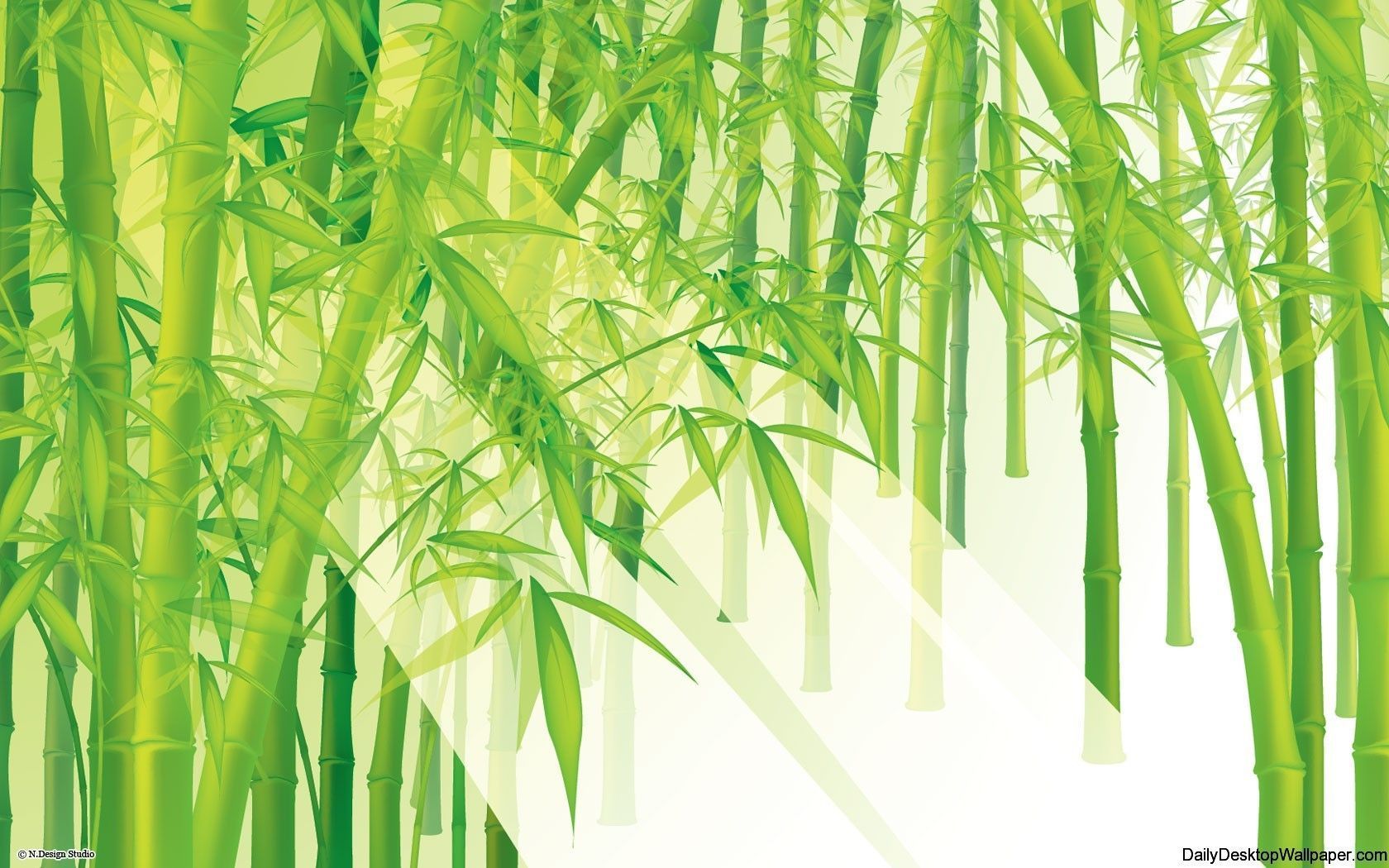 High resolution bamboo wallpaper - HD Wallpapers
